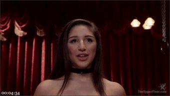 Bill Bailey – Dee Williams – Abella Danger – A Higher Protocol: The Anal Bondage Slave and the Nineteen Year Old Petitioner