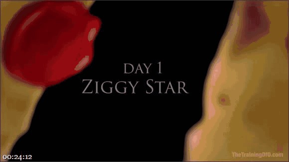 Xander Corvus – Ziggy Star – Training the Bad Girl: Ziggy Star_cover