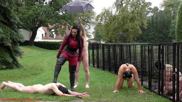 Mistress Ezada Sinn – Brutal Whipping On A Cold Rainy Day