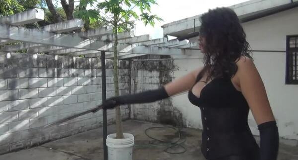 Bullwhip Therapy By Kalinda