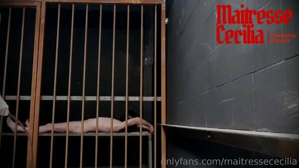 Prison Time For The Slut After A Rough Punishment With The Whip And Face Slapping — MAITRESSE CECILIA